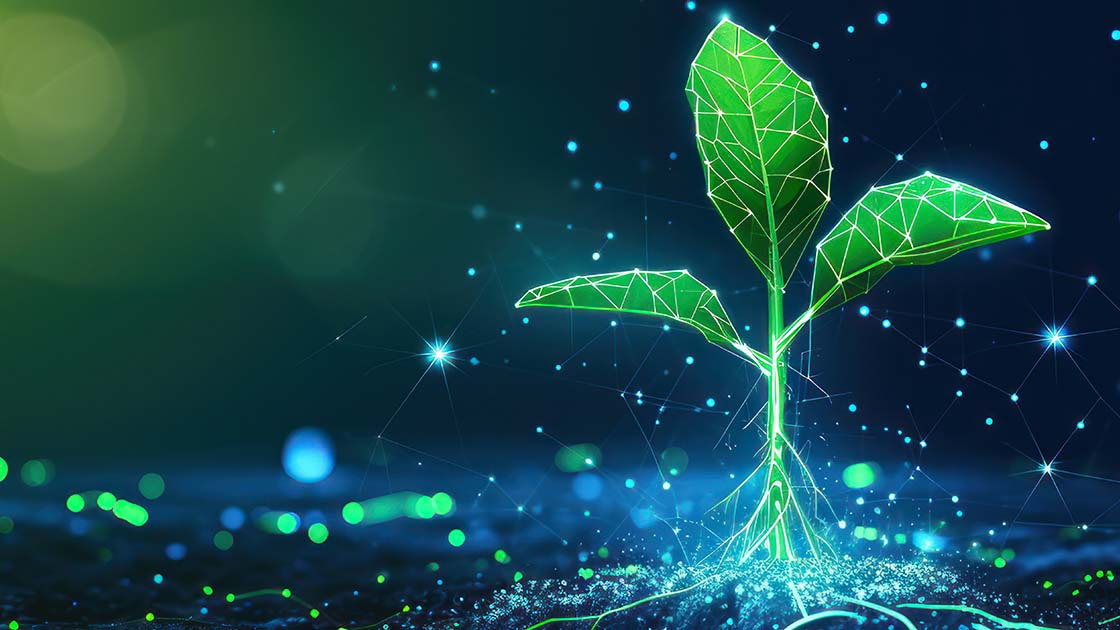 Read: Celebrating 30 Years of Evolution and Growth at Remedi Electronic Commerce