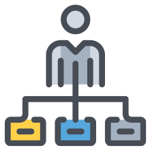 System and Application Audit