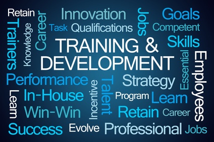 Read: Where Can I Find EDI Training?