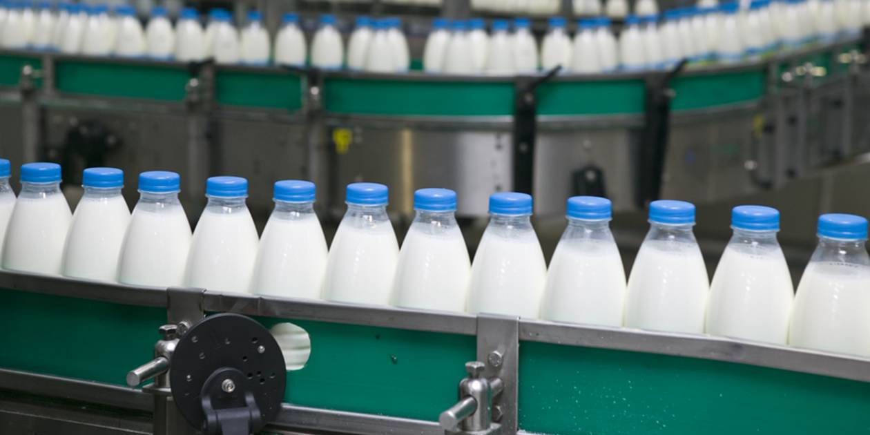 Производители стоил. Молоко в агропромышленном комплексе. Отходы молочной продукции. Завод по переработке молока. Импортное молоко.